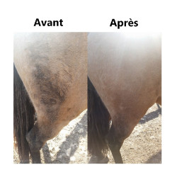 Détachant robe et crin Ekin Détachant robe et crin Ekin