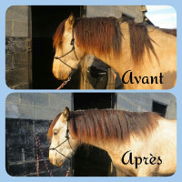 Soin démêlant crin Ekin Soin démêlant crin Ekin