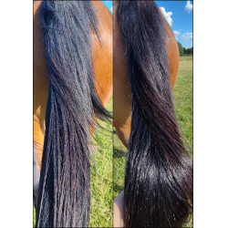 Soin démêlant crin Ekin Soin démêlant crin Ekin