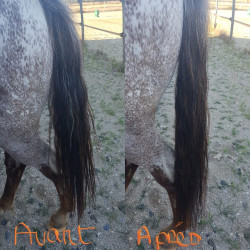 Soin démêlant crin Ekin Soin démêlant crin Ekin