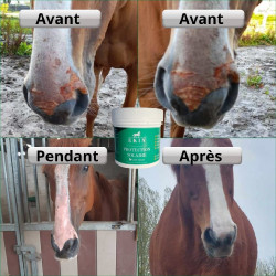 Protection solaire Ekin