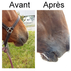 Protection solaire Ekin