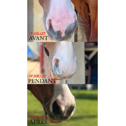 Protection solaire Ekin