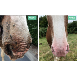 Protection solaire Ekin