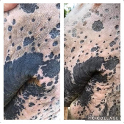 Protection solaire Ekin