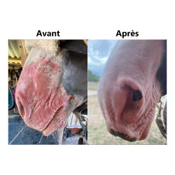 Protection solaire Ekin