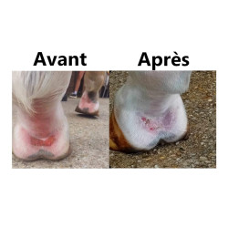 Protection solaire Ekin