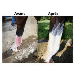 Protection solaire Ekin