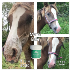 Protection solaire Ekin