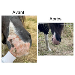 Protection solaire Ekin