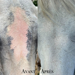 Protection solaire Ekin