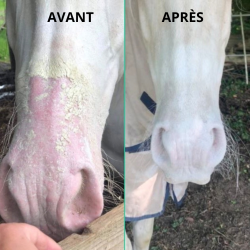 Protection solaire Ekin