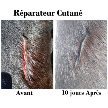 Spray réparateur cutané Ekin Spray réparateur cutané Ekin