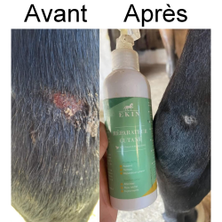 Spray réparateur cutané Ekin Spray réparateur cutané Ekin