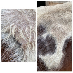 Spray réparateur cutané Ekin Spray réparateur cutané Ekin