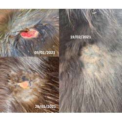 Spray réparateur cutané Ekin Spray réparateur cutané Ekin