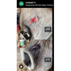 Spray réparateur cutané Ekin Spray réparateur cutané Ekin