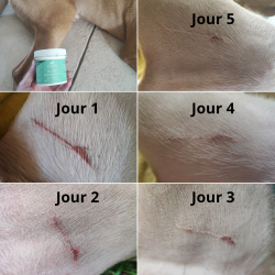 Baume réparateur cutané Ekin Baume réparateur cutané Ekin