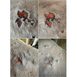 Baume réparateur cutané Ekin Baume réparateur cutané Ekin