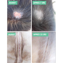 Baume réparateur cutané Ekin Baume réparateur cutané Ekin