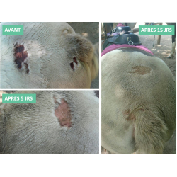 Baume Anti-démangeaison Ekin