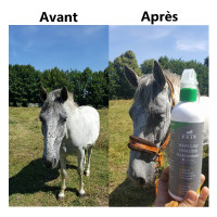 Spray Répulsif insectes Ekin Spray Répulsif insectes Ekin
