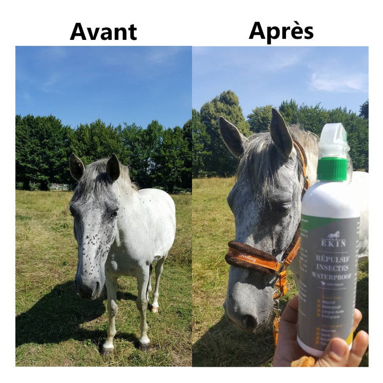 Spray Répulsif insectes Ekin Spray Répulsif insectes Ekin