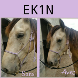 Spray Répulsif insectes Ekin Spray Répulsif insectes Ekin