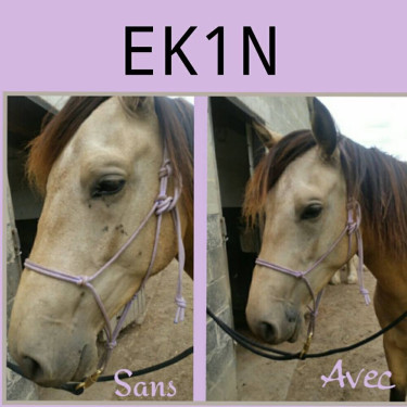 Répulsif insectes Ekin Répulsif insectes Ekin