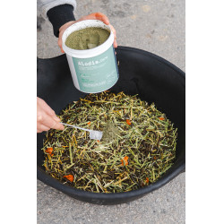 Aliment complémentaire Alodis Care Horse Complexe Aliment complémentaire Alodis Care Horse Complexe