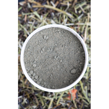 Aliment complémentaire Alodis Care Horse Complexe Aliment complémentaire Alodis Care Horse Complexe