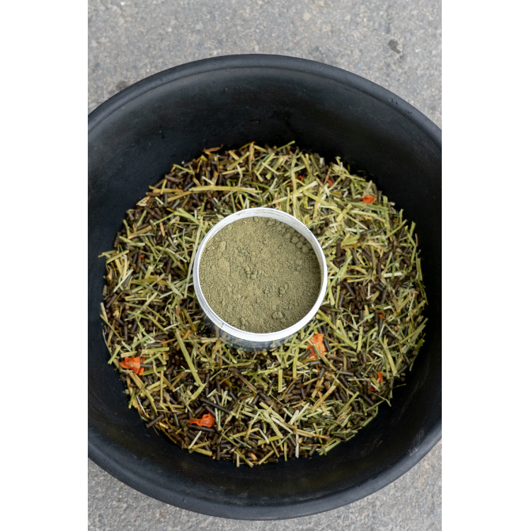 Aliment complémentaire Alodis Care Horse Complexe Aliment complémentaire Alodis Care Horse Complexe