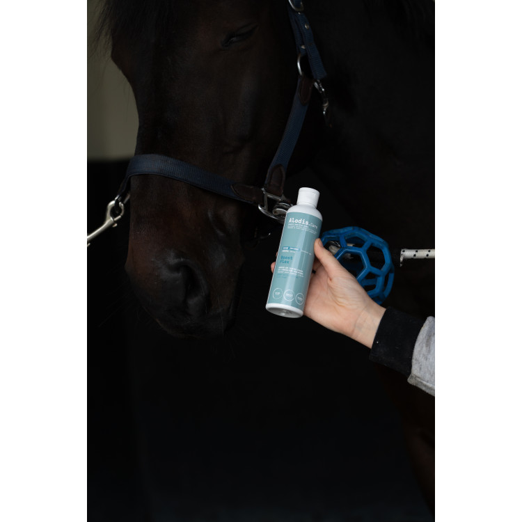 Aliment complémentaire Alodis Care Boost Flex Aliment complémentaire Alodis Care Boost Flex