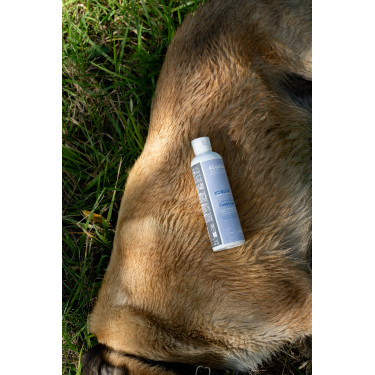 Aliment complémentaire Alodis Care Cani Complexe pour chien Aliment complémentaire Alodis Care Cani Complexe pour chien