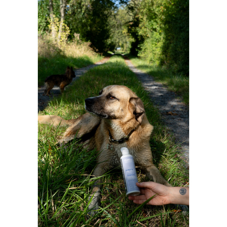 Aliment complémentaire Alodis Care Cani Complexe pour chien Aliment complémentaire Alodis Care Cani Complexe pour chien