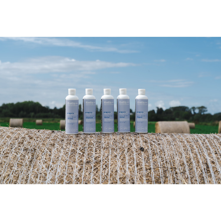 Aliment complémentaire Alodis Care Cani Complexe pour chien Aliment complémentaire Alodis Care Cani Complexe pour chien
