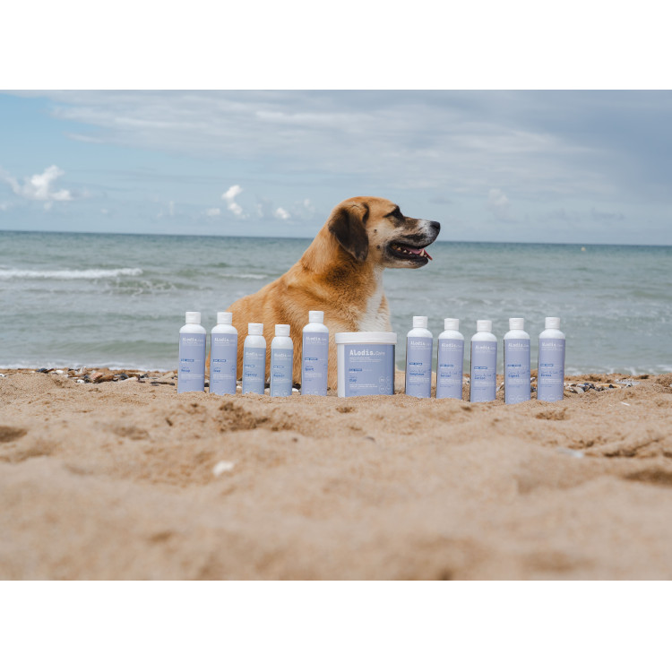 Argile Alodis Care Cani Clay pour chien Argile Alodis Care Cani Clay pour chien
