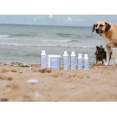 Argile Alodis Care Cani Clay pour chien Argile Alodis Care Cani Clay pour chien