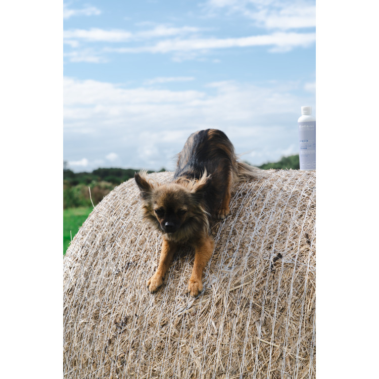 Baume Alodis Care Cani Stress pour chien Baume Alodis Care Cani Stress pour chien