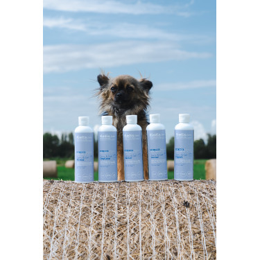 Baume Alodis Care Cani Stress pour chien Baume Alodis Care Cani Stress pour chien