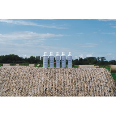 Baume Alodis Care Cani Stress pour chien Baume Alodis Care Cani Stress pour chien