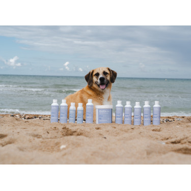 Baume Alodis Care Cani Stress pour chien Baume Alodis Care Cani Stress pour chien