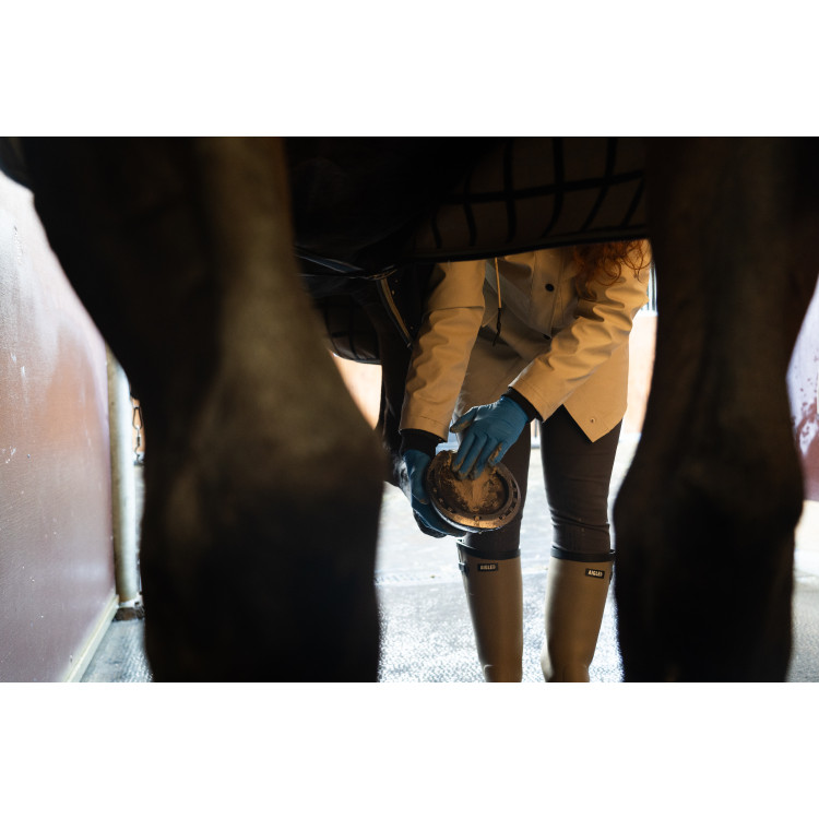 Argile Alodis Care Hoof Clay Argile Alodis Care Hoof Clay