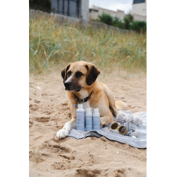 Gel Alodis Care Cani Repair Gel Alodis Care Cani Repair