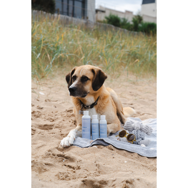 Gel Alodis Care Cani Repair Gel Alodis Care Cani Repair
