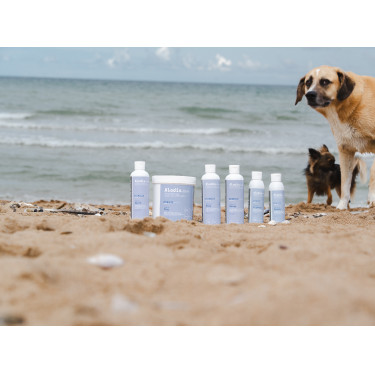 Huile Alodis Care Cani Recup Huile Alodis Care Cani Recup