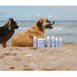 Huile Alodis Care Cani Recup