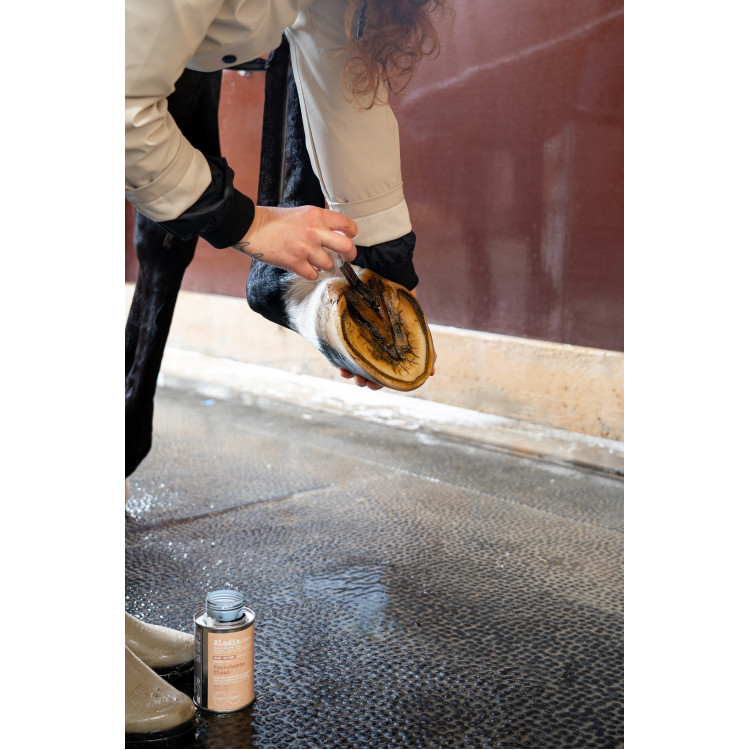 Huile Alodis Care Fourchette Clean Huile Alodis Care Fourchette Clean