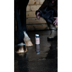 Huile Alodis Care Fourchette Clean