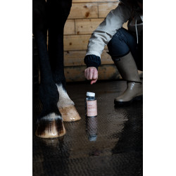 Huile Alodis Care Fourchette Clean